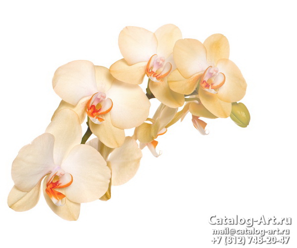 картинки для фотопечати на потолках, идеи, фото, образцы - Потолки с фотопечатью - Белые орхидеи 5